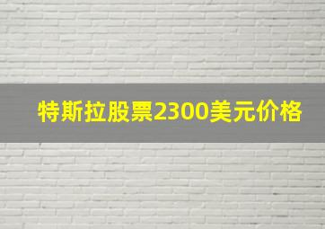 特斯拉股票2300美元价格