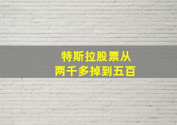 特斯拉股票从两千多掉到五百