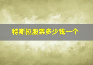 特斯拉股票多少钱一个