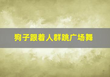 狗子跟着人群跳广场舞