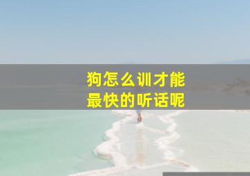 狗怎么训才能最快的听话呢