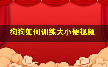 狗狗如何训练大小便视频