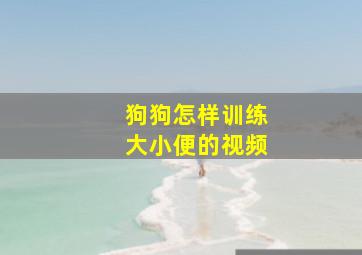 狗狗怎样训练大小便的视频