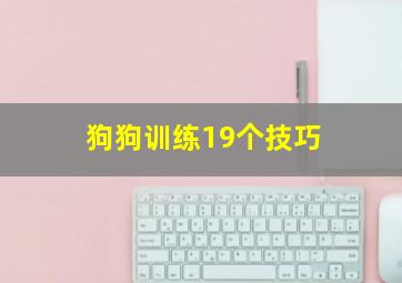 狗狗训练19个技巧