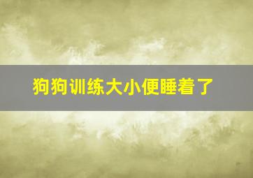 狗狗训练大小便睡着了