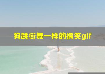 狗跳街舞一样的搞笑gif