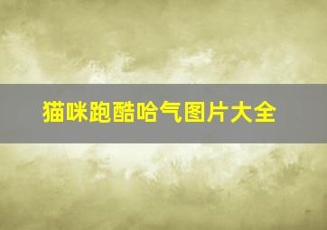 猫咪跑酷哈气图片大全