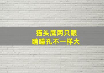 猫头鹰两只眼睛瞳孔不一样大