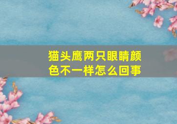 猫头鹰两只眼睛颜色不一样怎么回事