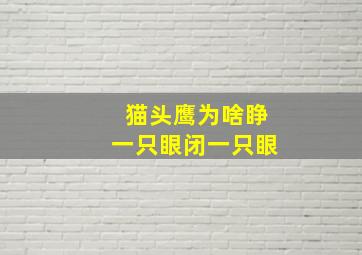 猫头鹰为啥睁一只眼闭一只眼