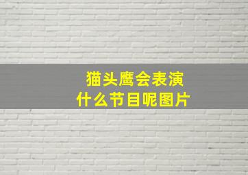 猫头鹰会表演什么节目呢图片