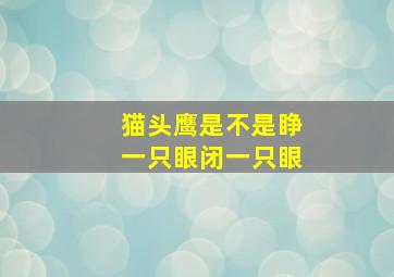 猫头鹰是不是睁一只眼闭一只眼