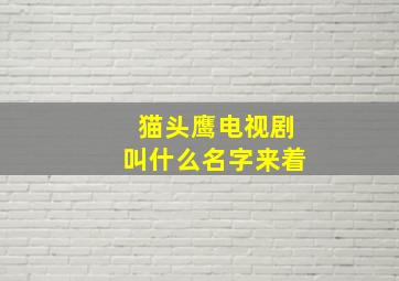 猫头鹰电视剧叫什么名字来着