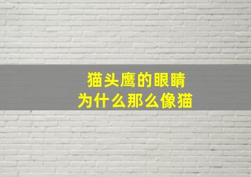 猫头鹰的眼睛为什么那么像猫