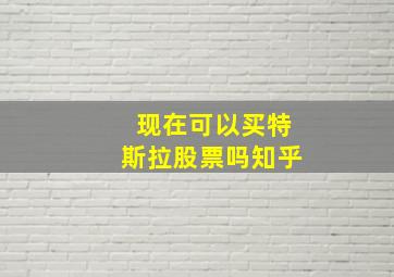 现在可以买特斯拉股票吗知乎