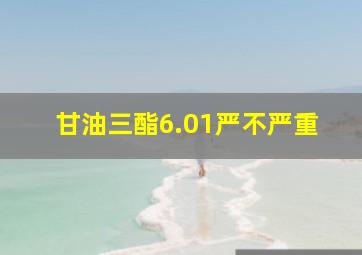 甘油三酯6.01严不严重