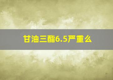 甘油三酯6.5严重么