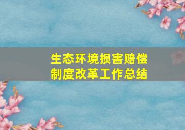 生态环境损害赔偿制度改革工作总结