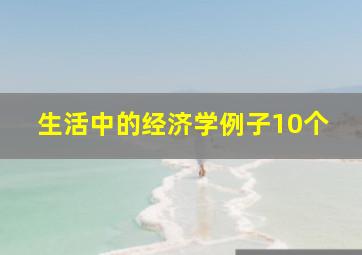 生活中的经济学例子10个