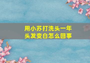 用小苏打洗头一年头发变白怎么回事