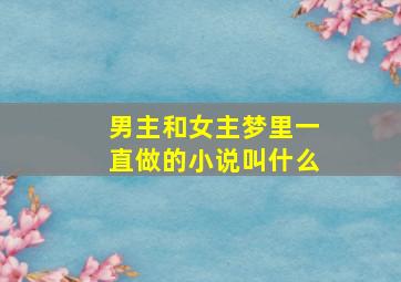 男主和女主梦里一直做的小说叫什么