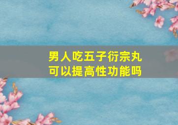 男人吃五子衍宗丸可以提高性功能吗