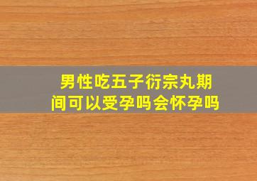 男性吃五子衍宗丸期间可以受孕吗会怀孕吗