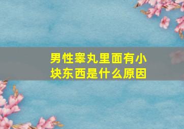 男性睾丸里面有小块东西是什么原因