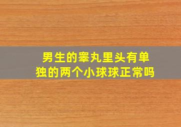 男生的睾丸里头有单独的两个小球球正常吗