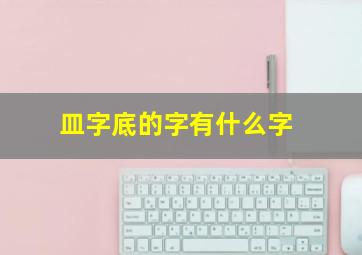 皿字底的字有什么字