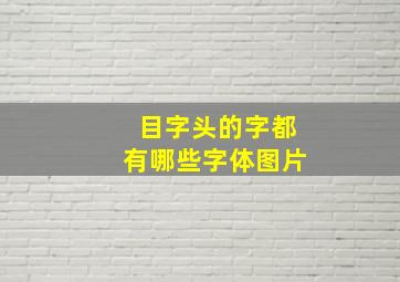 目字头的字都有哪些字体图片