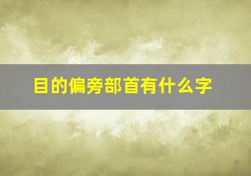 目的偏旁部首有什么字