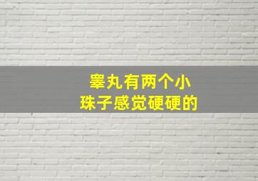 睾丸有两个小珠子感觉硬硬的