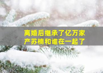 离婚后继承了亿万家产苏楠和谁在一起了