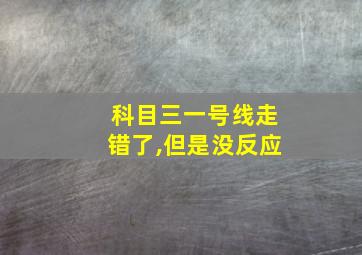 科目三一号线走错了,但是没反应