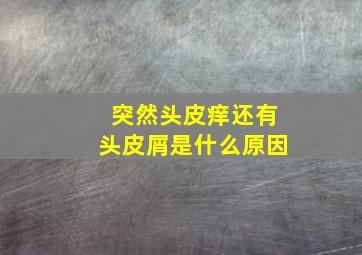 突然头皮痒还有头皮屑是什么原因