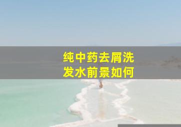 纯中药去屑洗发水前景如何