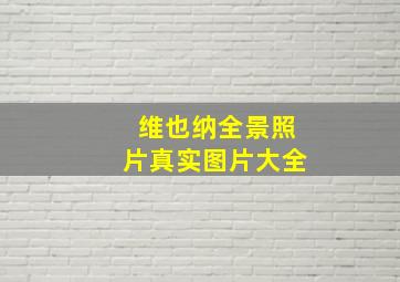 维也纳全景照片真实图片大全