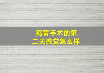 缩胃手术的第二天感觉怎么样