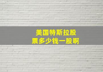 美国特斯拉股票多少钱一股啊