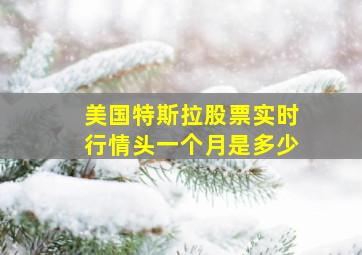 美国特斯拉股票实时行情头一个月是多少