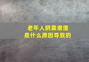 老年人阴囊潮湿是什么原因导致的