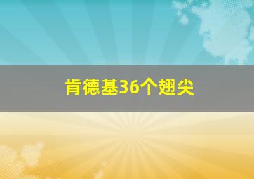 肯德基36个翅尖