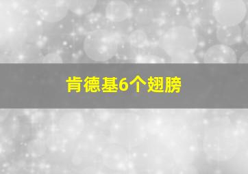 肯德基6个翅膀