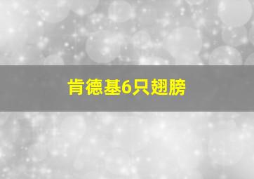 肯德基6只翅膀