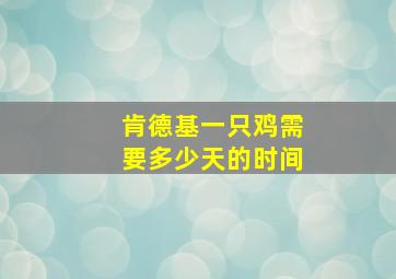 肯德基一只鸡需要多少天的时间