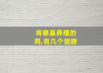 肯德基养殖的鸡,有几个翅膀