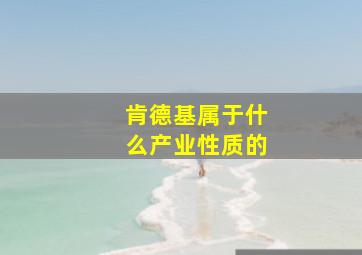 肯德基属于什么产业性质的