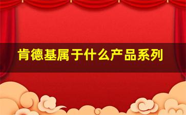 肯德基属于什么产品系列