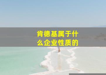 肯德基属于什么企业性质的